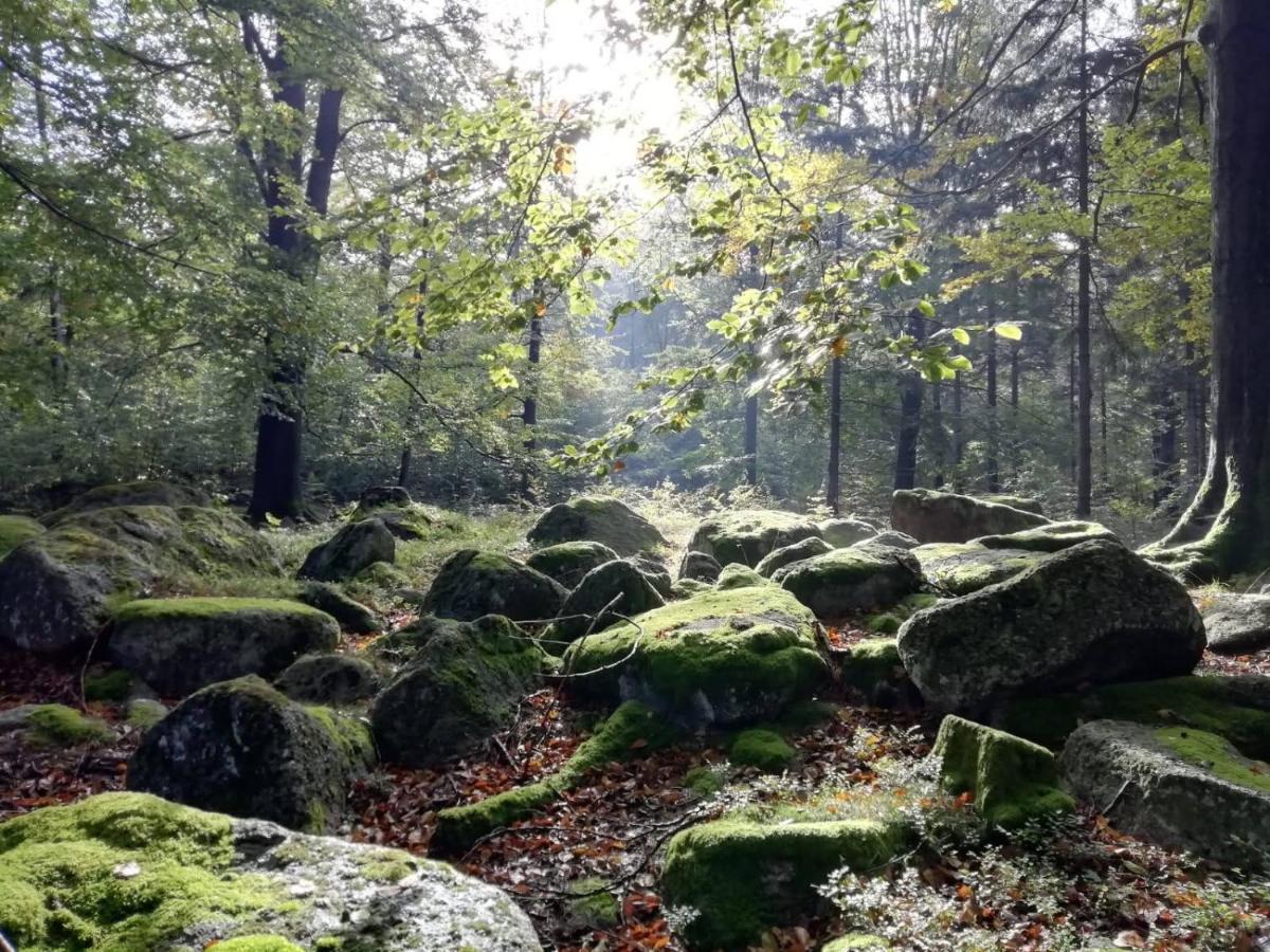 Hejnice Retreat المظهر الخارجي الصورة